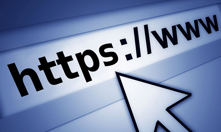 Web Site Development 1st Deposit